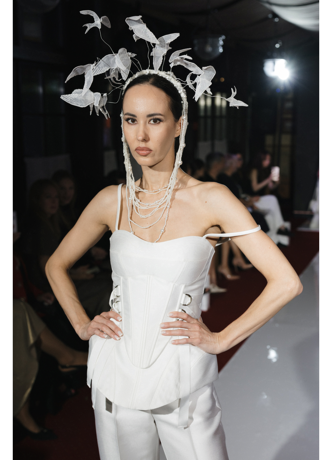 Papilio коллекция АЛЬБИОН