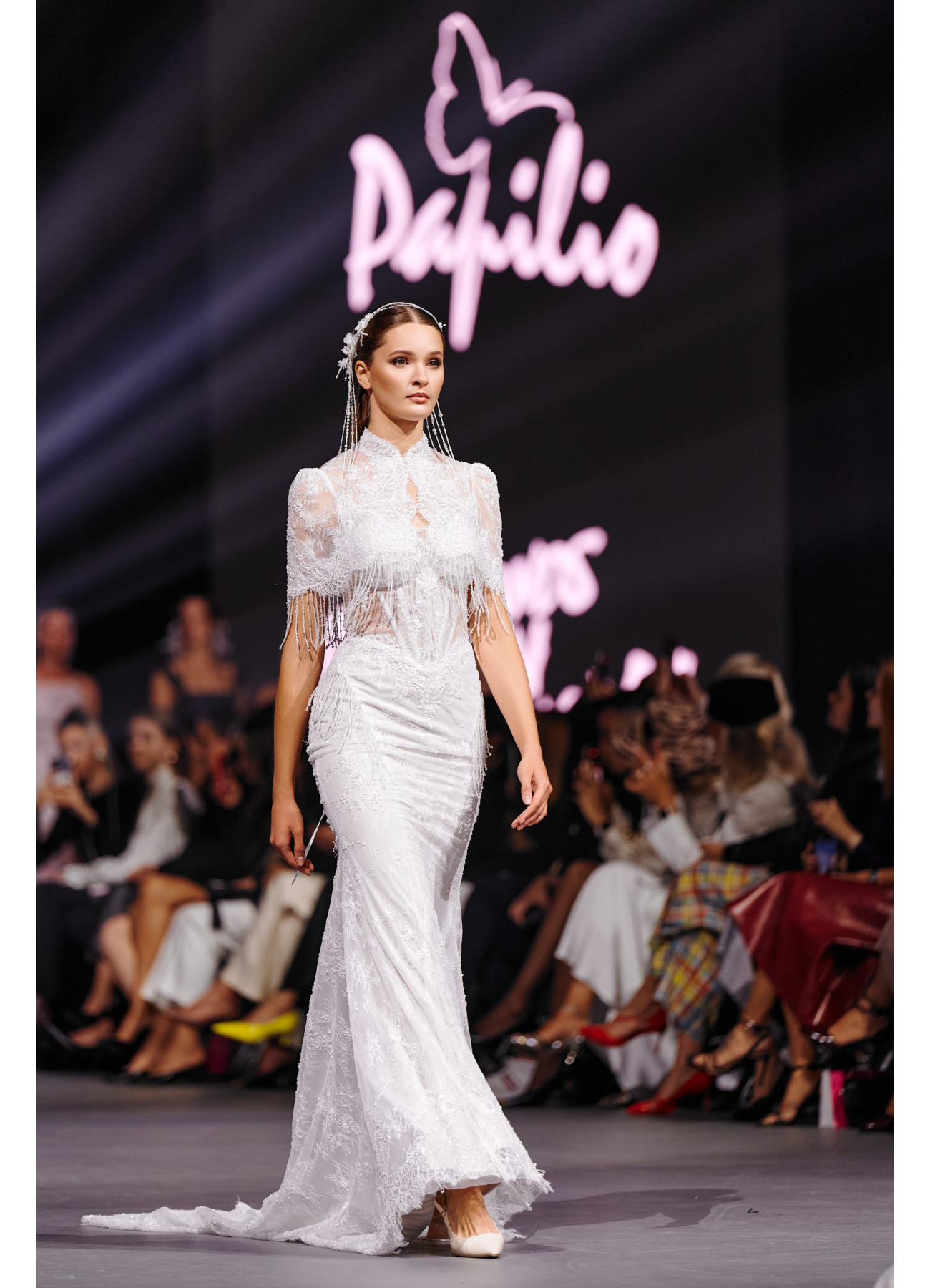 Papilio коллекция АЛЬБИОН